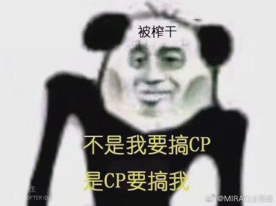 磕cp须存的表情包!快上!你的cp都会长长久久!