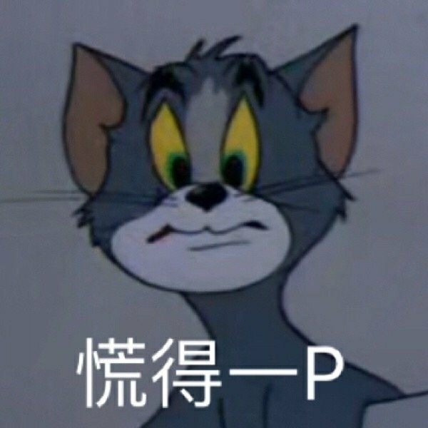 我偏要和你顶嘴今日份搞怪沙雕可爱熊猫头gif表情包源自各处 侵权删除
