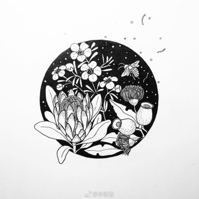 黑白插画 素材