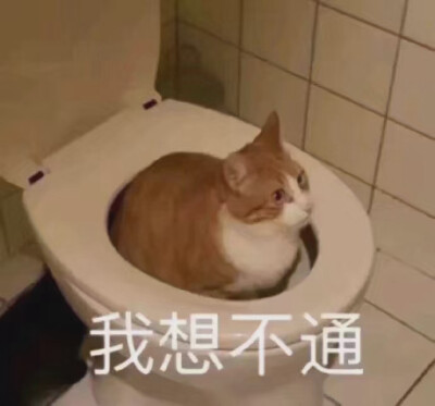表情哎喂