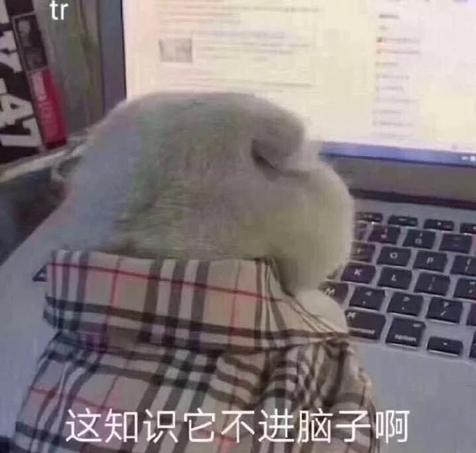 沙雕表情包 万能表情包 常用表情包 - 堆糖,美图壁纸