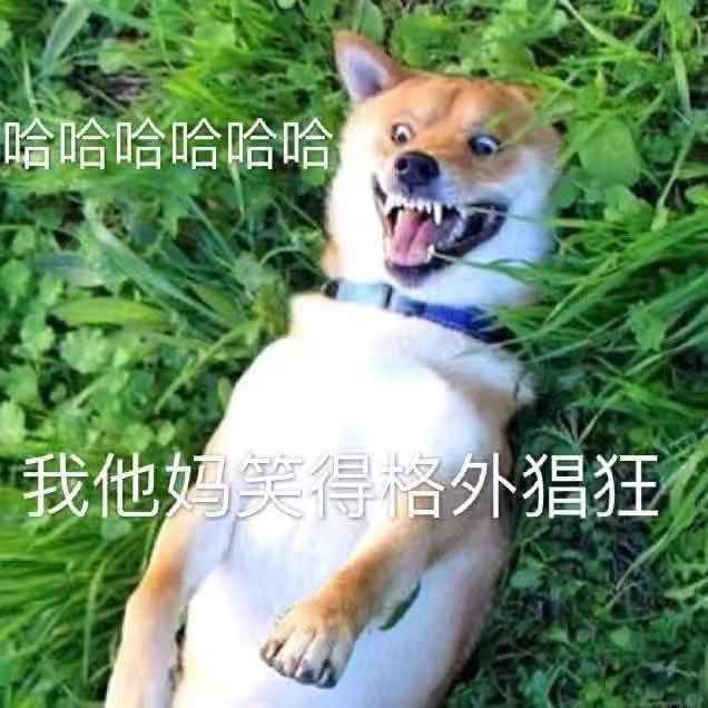 沙雕表情包 万能表情包 常用表情包 - 堆糖,美图壁纸