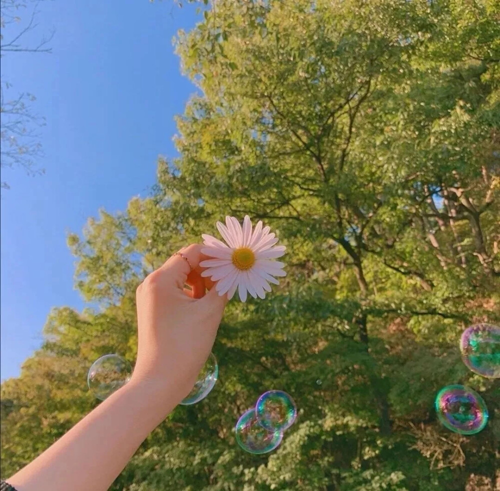 今晚月亮不营业qq背景图微信朋友圈背景图壁纸微信壁纸少女心壁纸键盘