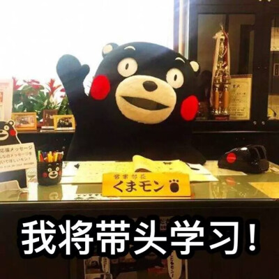 熊本学习表情包hh可爱哦