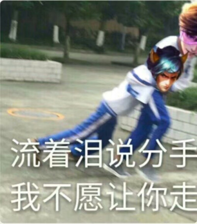 王者荣耀表情包,韩信