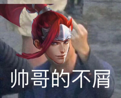 王者荣耀表情包 搞笑 沙雕 图源水印.