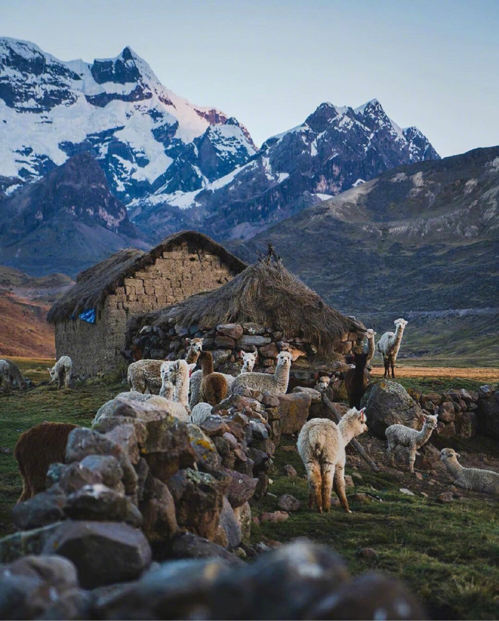 安第斯山脉是南美洲最美丽的风景线之一,这里有峻岭山峰,也有白雪皑皑