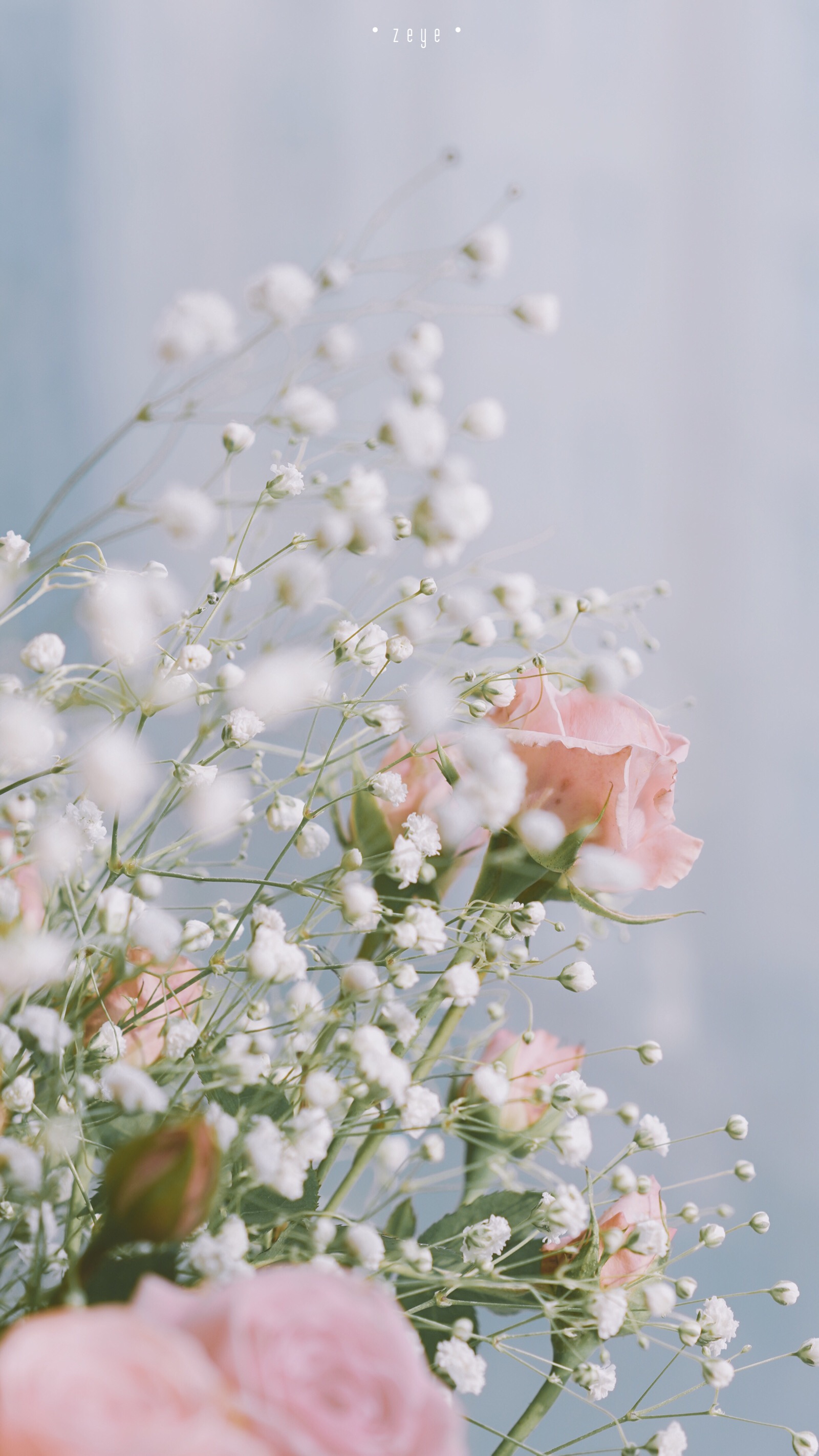 花花温柔少女心手机壁纸