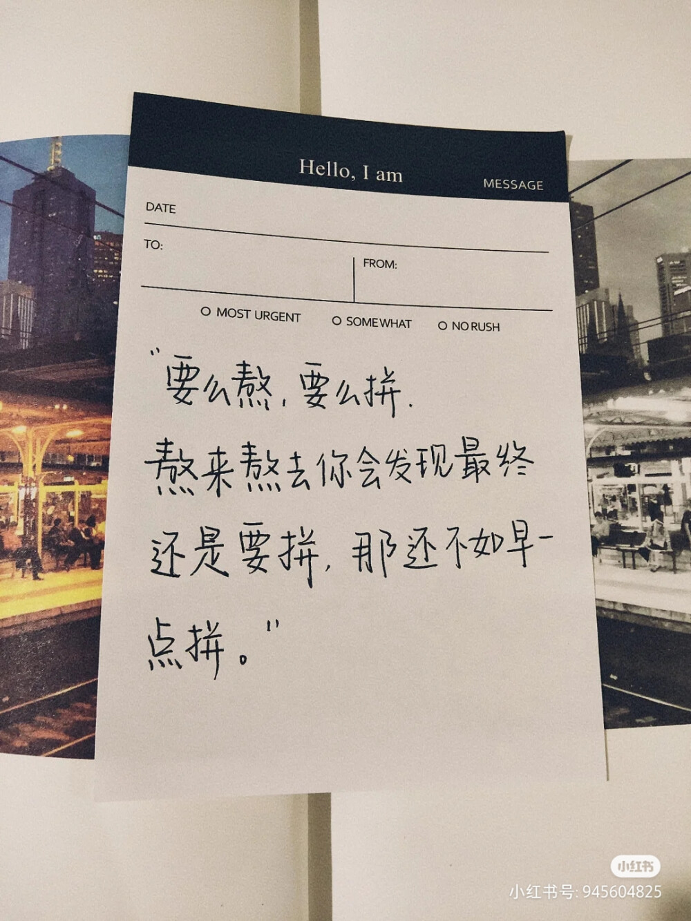 那段时光,是付出了很多努力,却得不到结果的日子.我们把它叫做扎根.