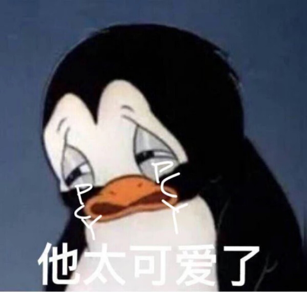 表情包 (配合聊天超下饭)