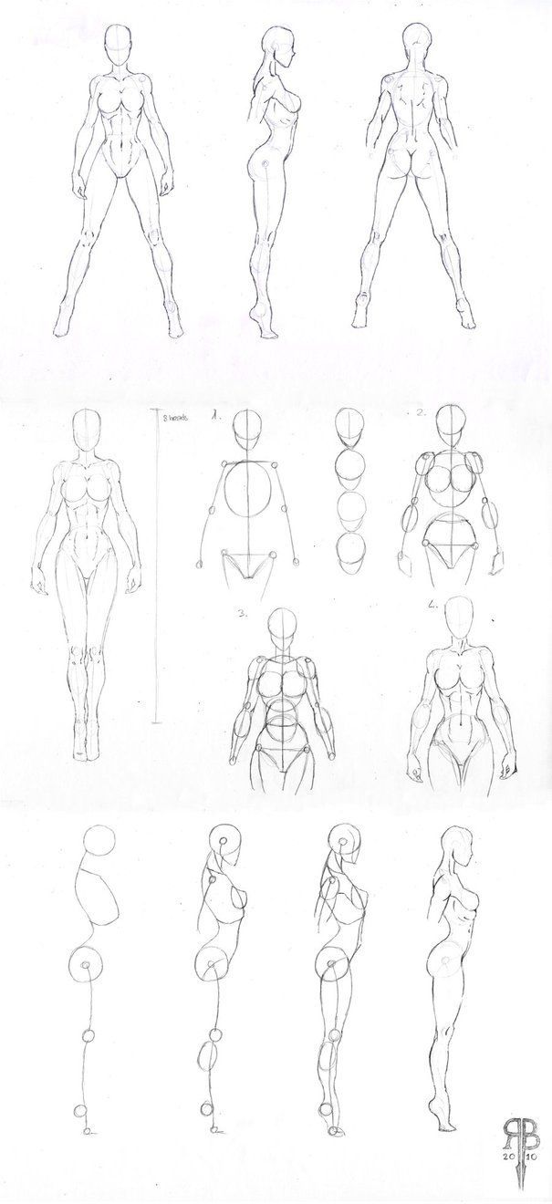 人体全身结构图