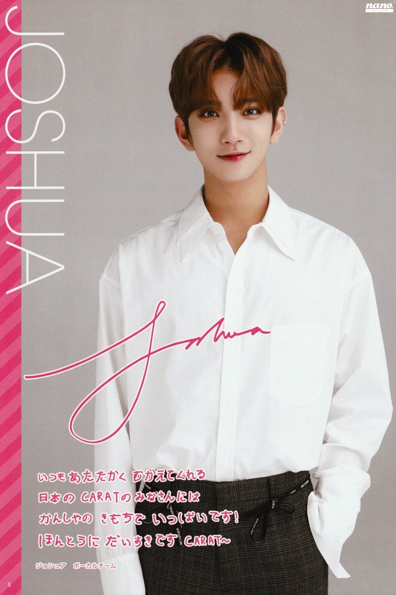 joshua 洪知秀 seventeen