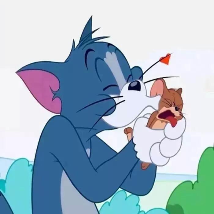 猫和老鼠 /ins/背景图/壁纸/侵权删