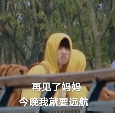 任豪表情包?