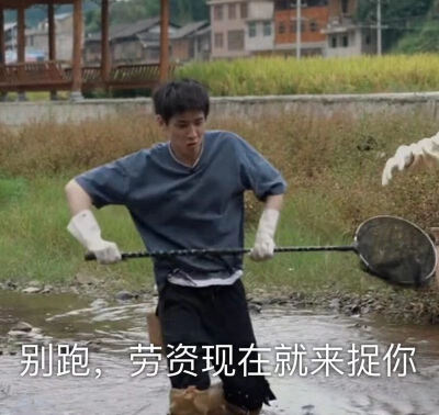任豪表情包?