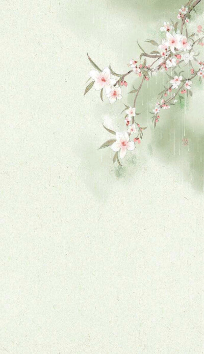 白边框头像