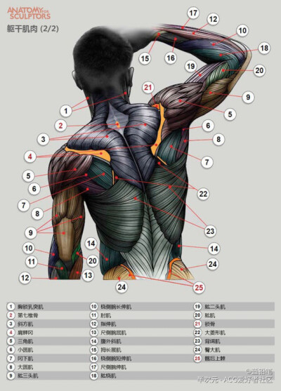 素材 人体动作