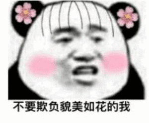 熊猫表情包