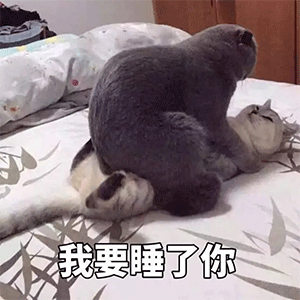 就是天生的表情包