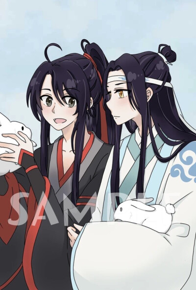 魔道祖师魏无羡蓝忘机图片