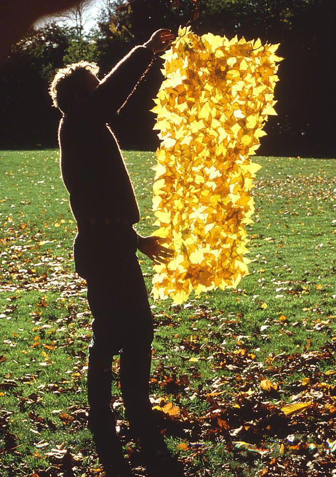 andy goldsworthyb,1956 英国大地艺术的代表人物,取材于自然,创作于