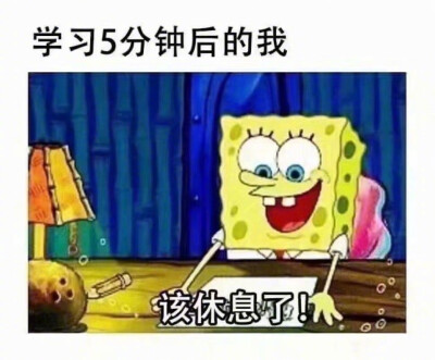 学习秃头表情包