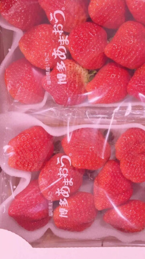 草莓仙气