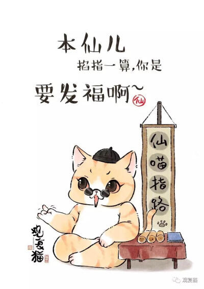 观复猫 与 生而为猫挺好的