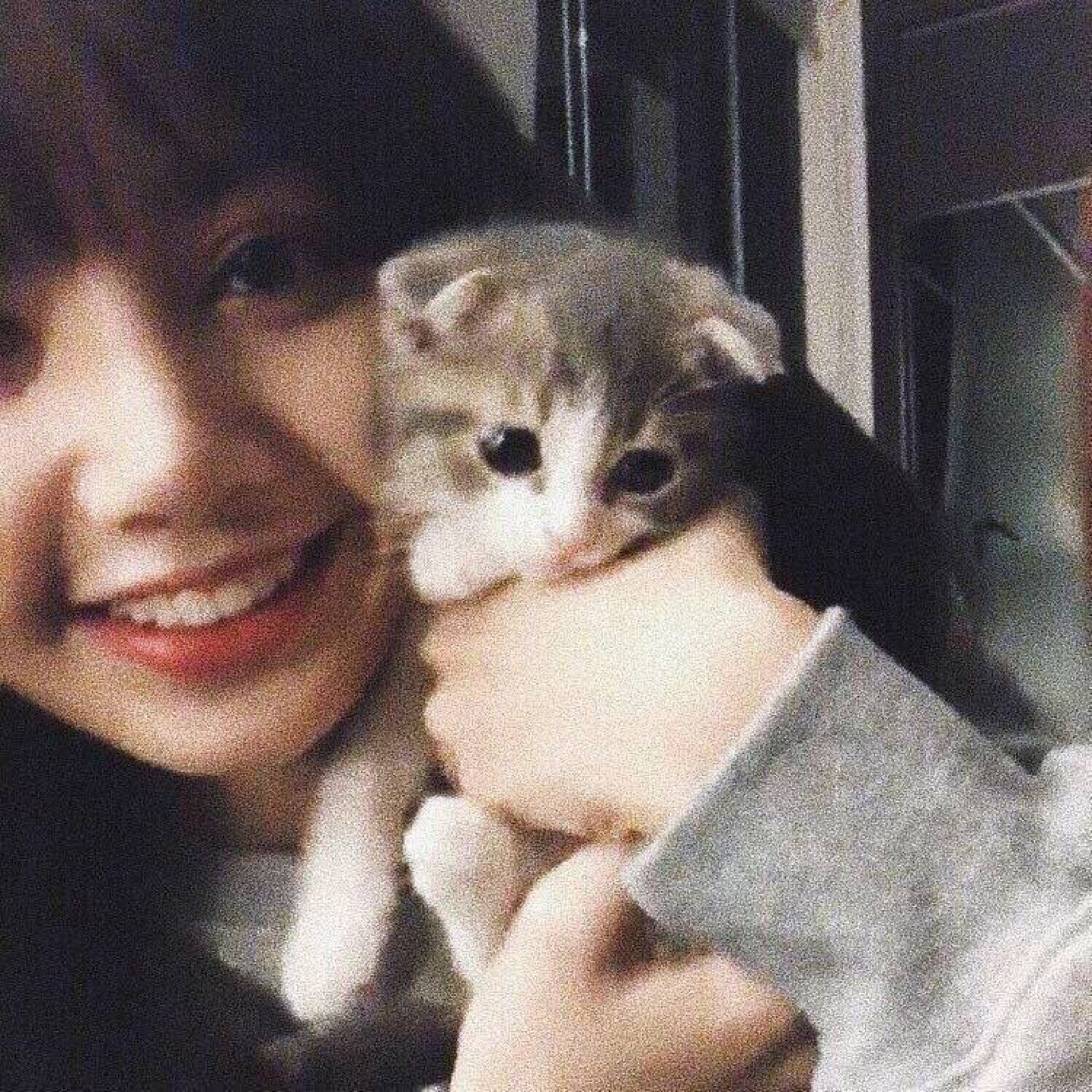 lisa 