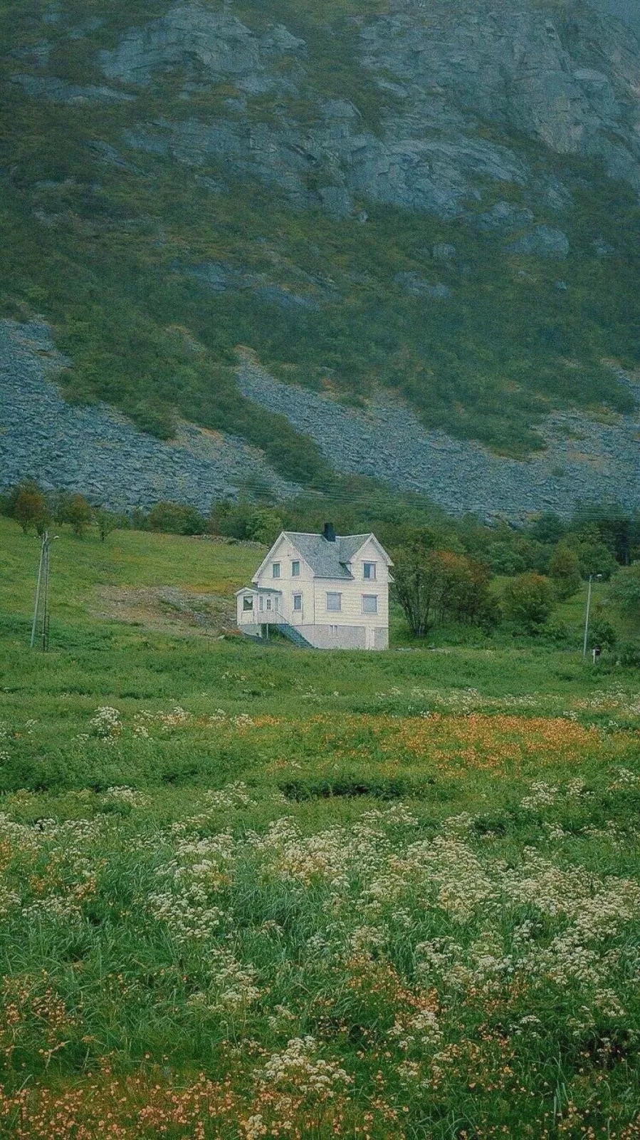 景物