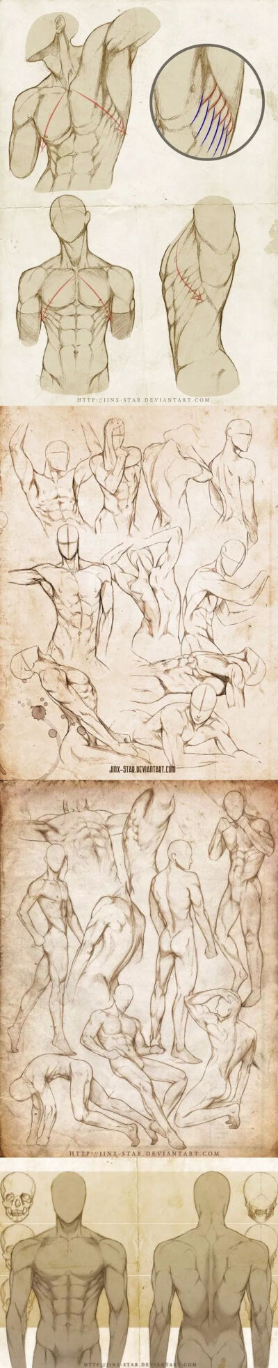 男性人体的肌肉结构绘画教程,想画出帅气有魅力的男性,富有哲♂学气息
