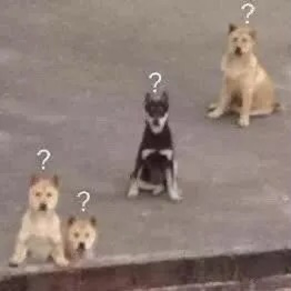 各类文字表情包/搞笑/可爱