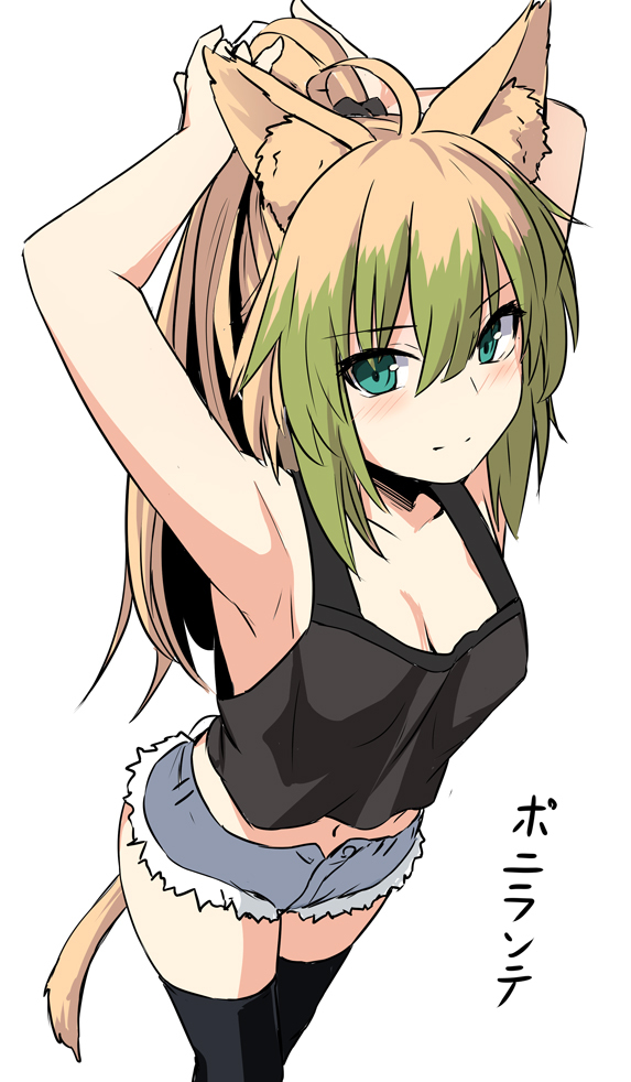 阿塔,塔喵,阿塔兰忒,fgo,fate
