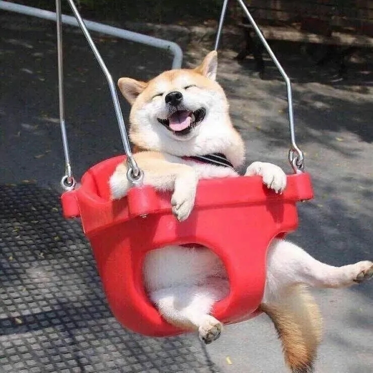 可爱情头
