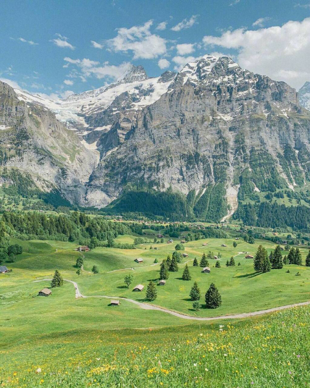 风景壁纸|瑞士|草原