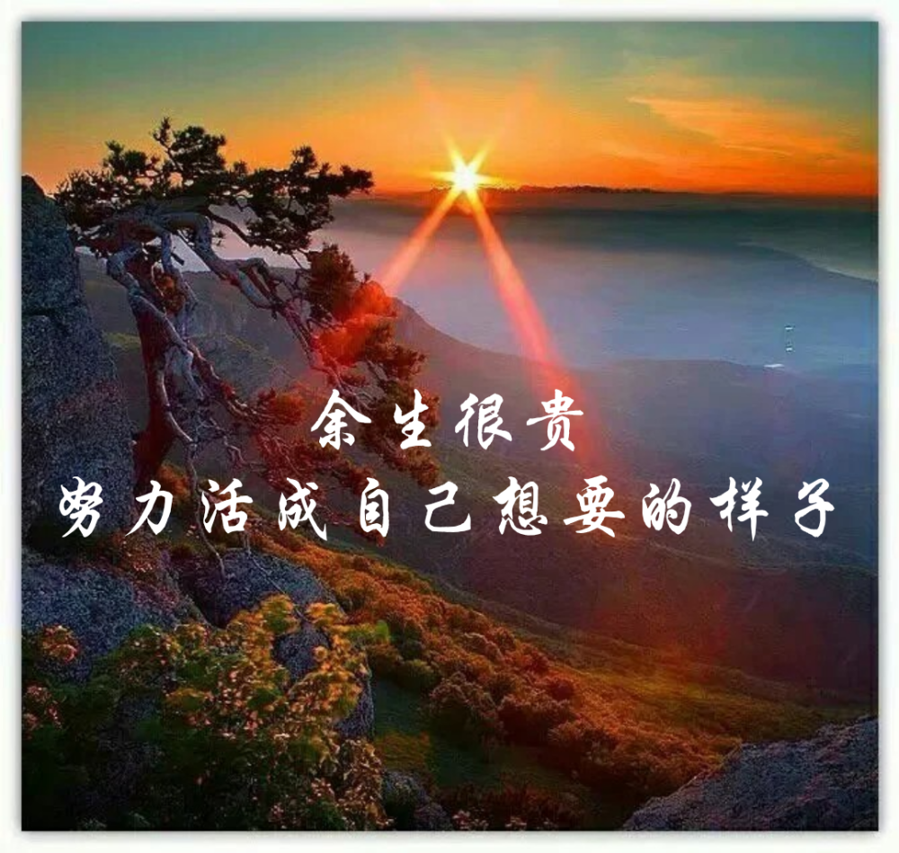 努力活成自己想要的样子
