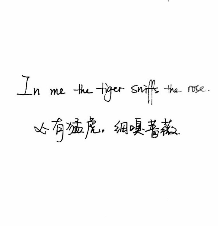 玩网背景图