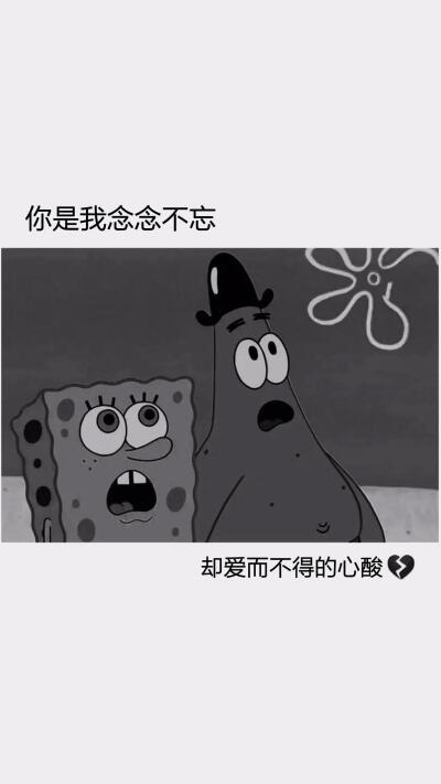 海绵宝宝呀