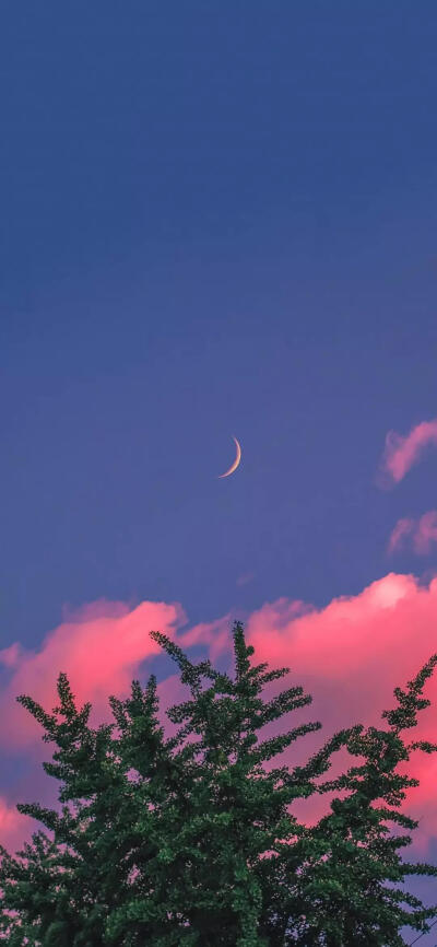 黑夜星空背景图 - 堆糖,美图壁纸兴趣社区