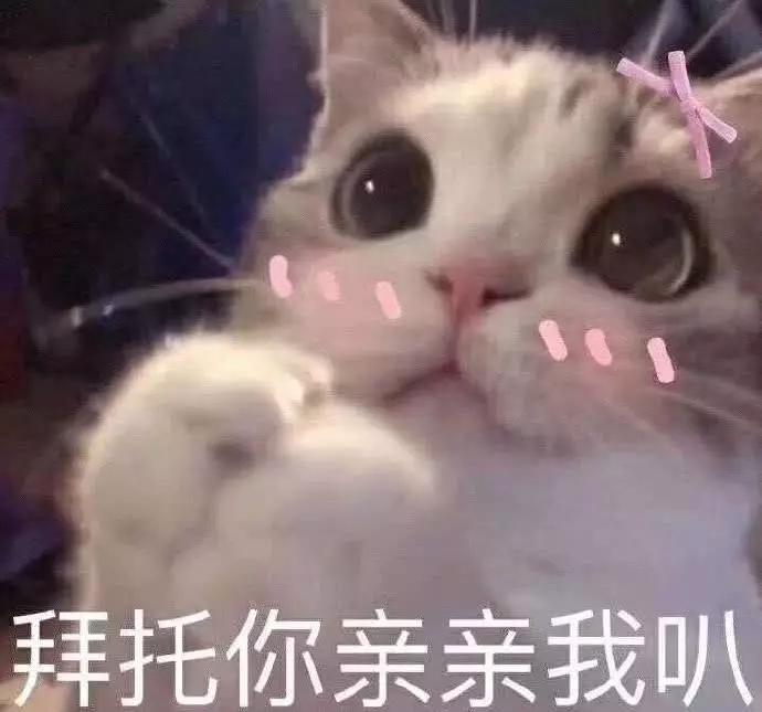 认错表情包