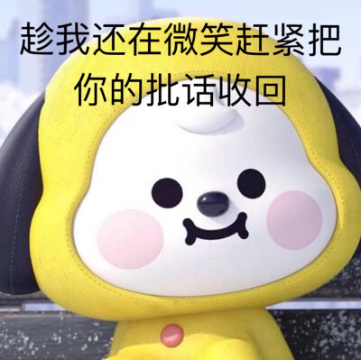 bt21表情包