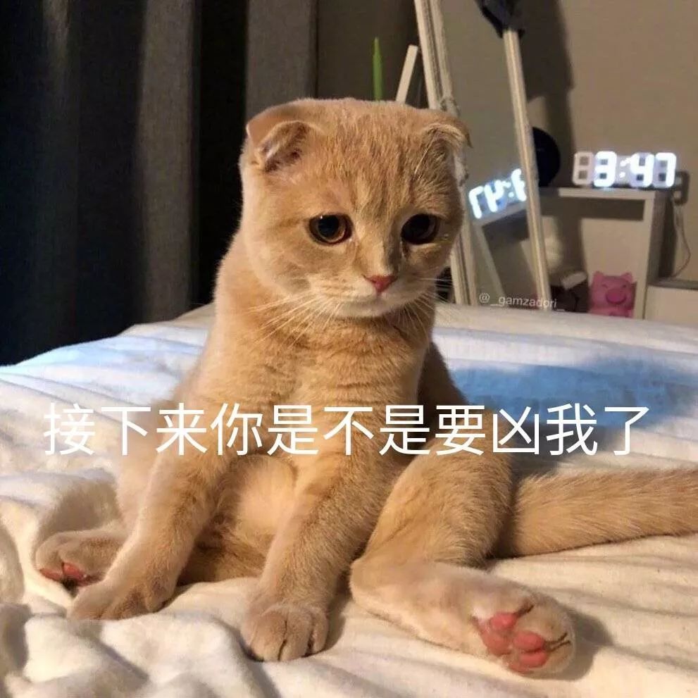 可爱沙雕猫猫表情包