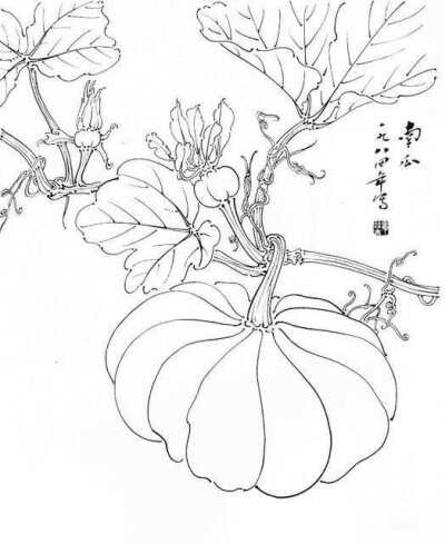 盆栽植物白描