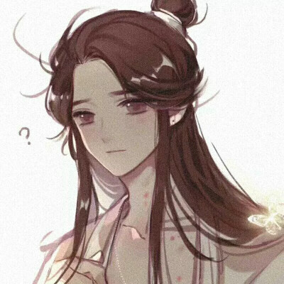 天官赐福谢怜q版