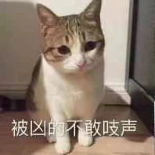 猫猫表情包 撒娇