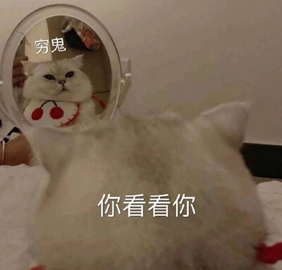 正经人的不正经表情包