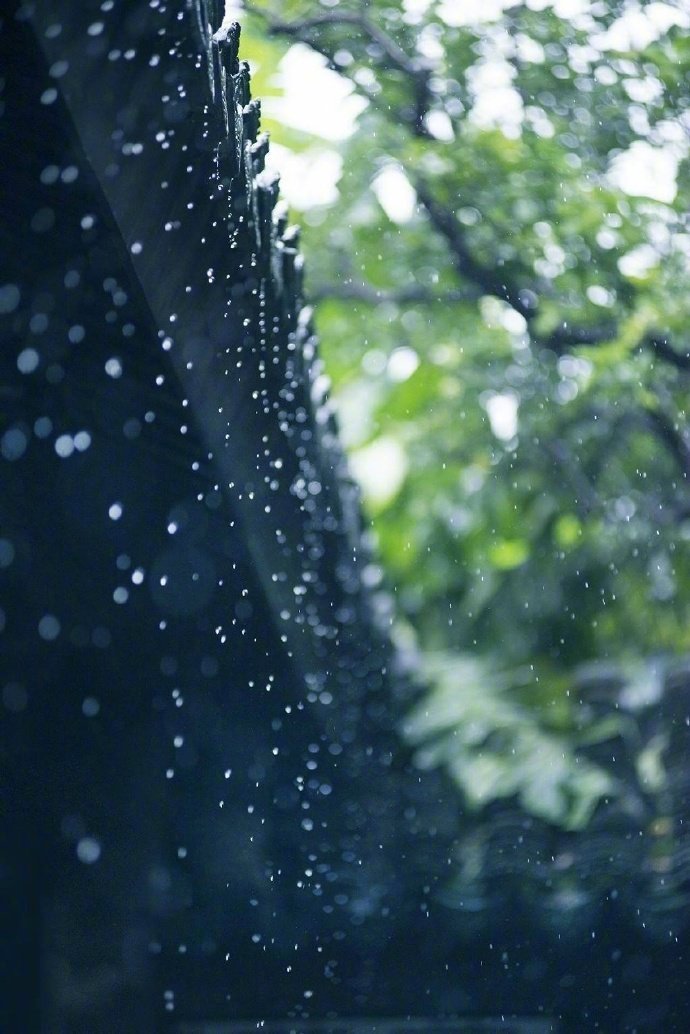 相依伞下鬓私语,半为遮雨半遮羞.