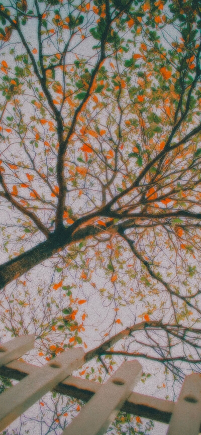 手机壁纸 全屏壁纸 复古 油画