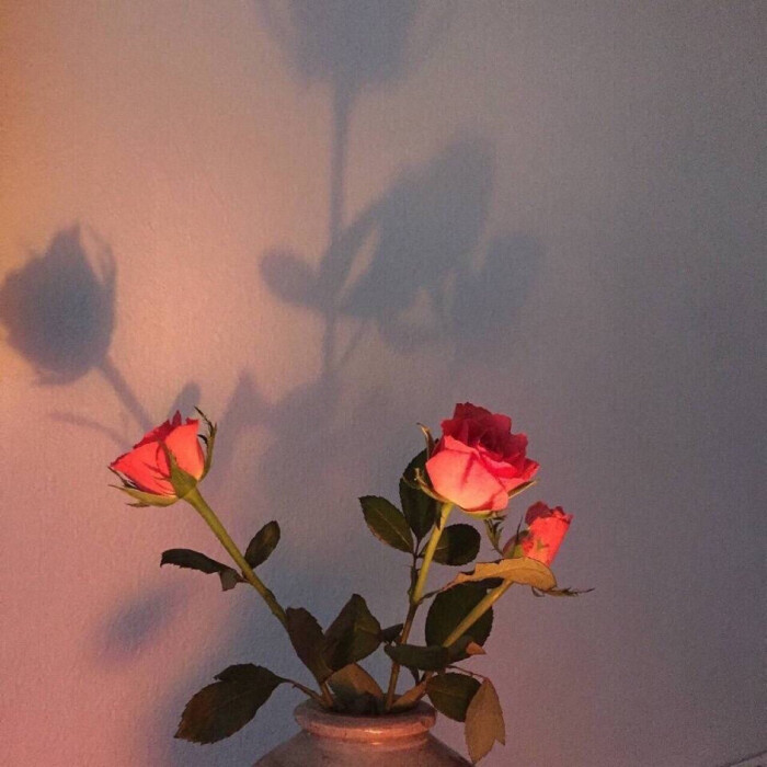 花花