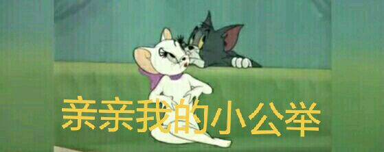 猫和老鼠沙雕表情包